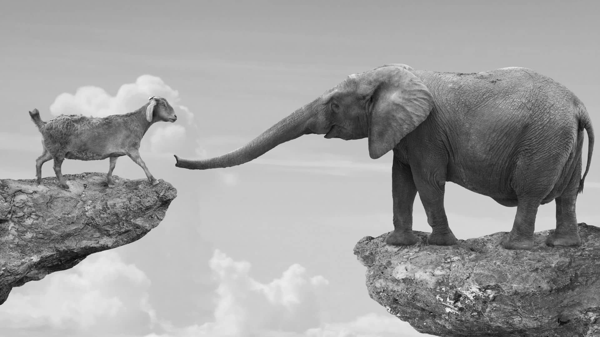 faire face aux propos polarisants